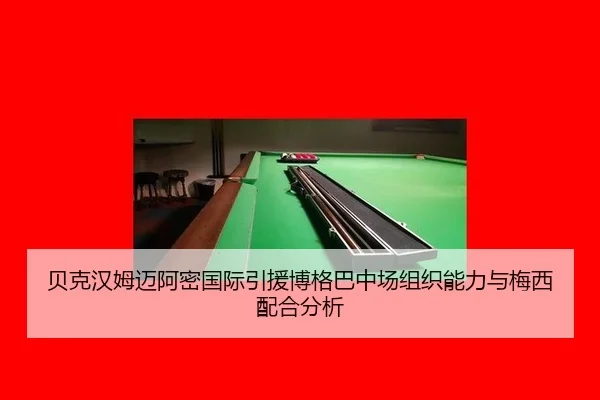 bei-ke-han-mu-mai-a-mi-guo-ji-yin-yuan-bo-ge-ba-zhong-chang-zu-zhi-neng-li-yu-mei-xi-pei-he-fen-xi-3-500.jpg